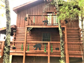 Bearadise 2 bed/2 bath log cabin near Pigeon Forge